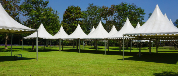 Canopy Rental